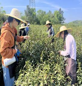 846D11F81F92B8358F3C3F63F27C23ED